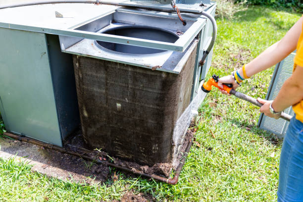 Best Air Duct Mold Removal  in Alton, TX