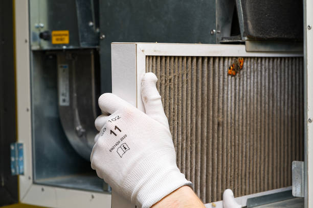 Best Air Duct Cleaning Company Near Me  in Alton, TX